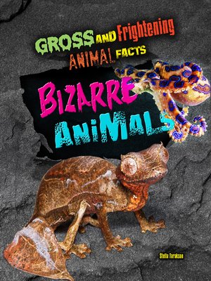 cover image of Bizarre Animals